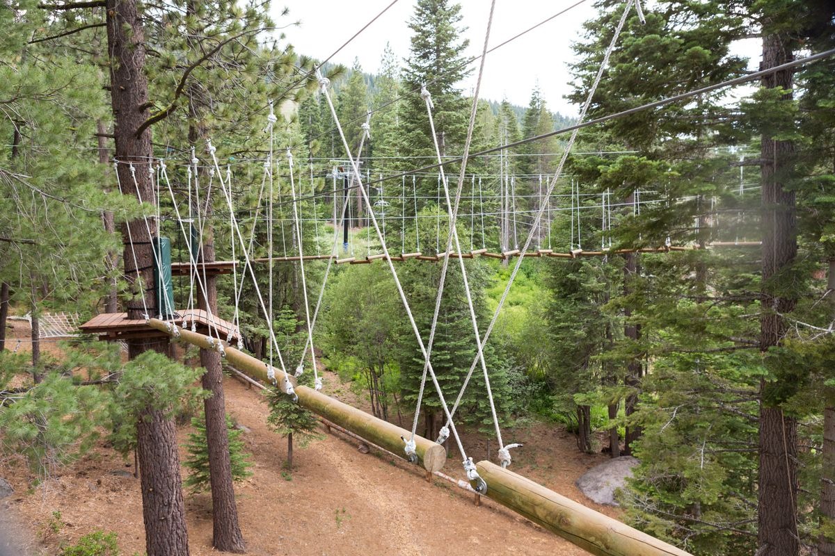 Treetop Challenage